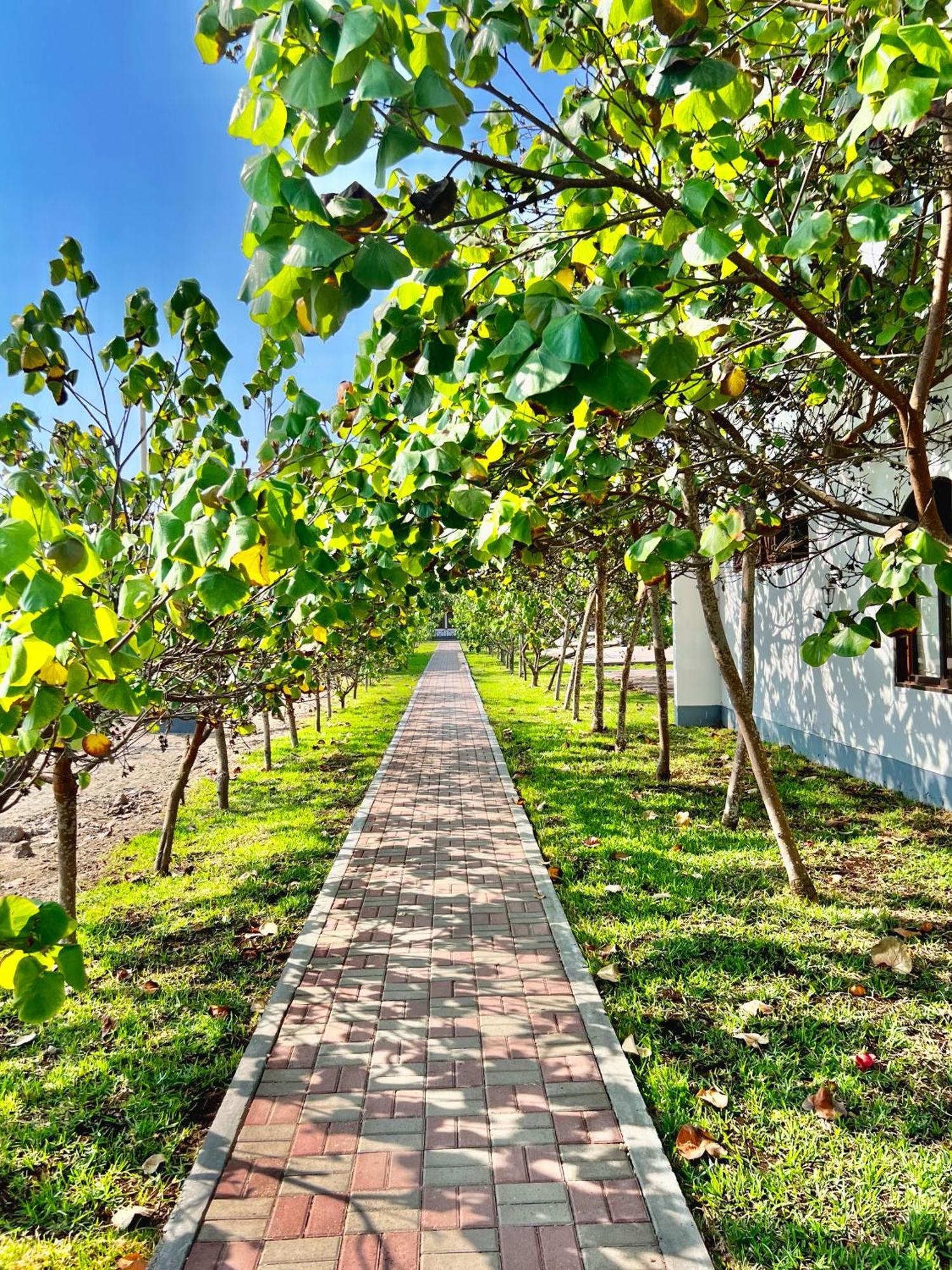 Dm Hoteles Asia Exterior photo